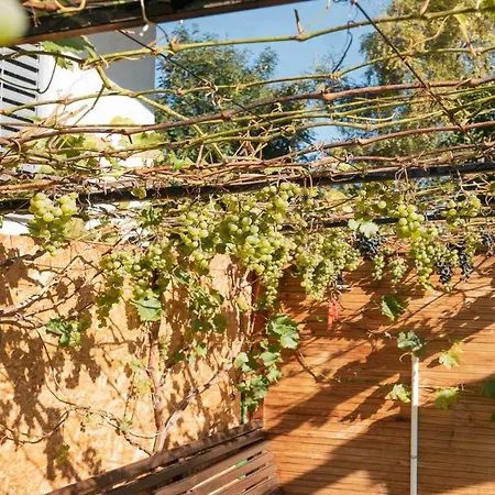 Riese Pensionat Neustift im Stubaital