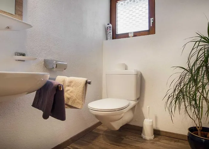 Riese نيوستيف ام ستوبيتا